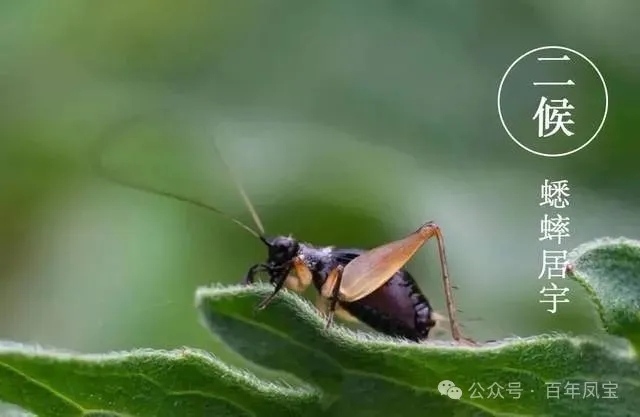 04.webp.jpg 04.webp.jpg